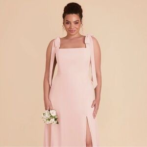 Birdy Grey Alex Dress in Chiffon Blush Pink